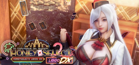 Game cover from HoneySelect2Libido DX